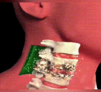 10015.gif