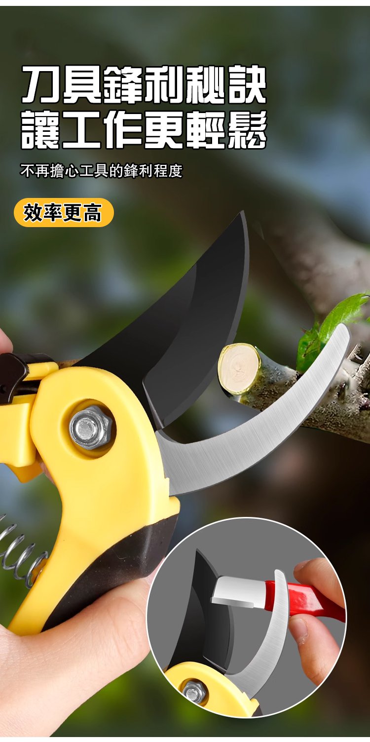 924b39fc2d8c436db1d2c7867d2709d6_20240507165347_112.jpg 924b39fc2d8c436db1d2c7867d2709d6_20240507165347_112.jpg