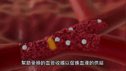 ia_800000014.gif ia_800000014.gif