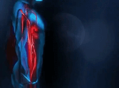 3.gif 3.gif